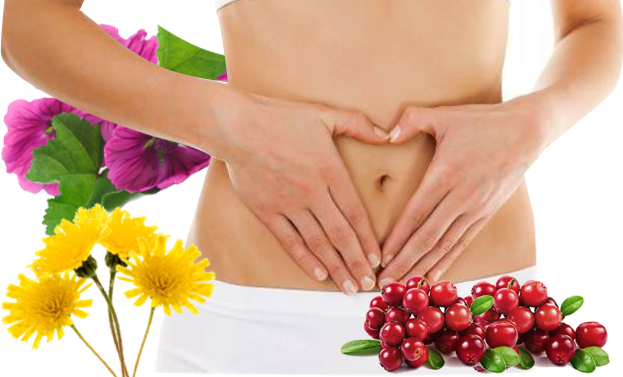Immagine Rimedi naturali per la cistite? I nostri consigli