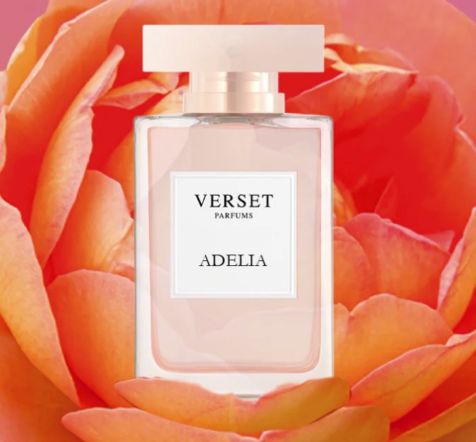 Immagine Verset Adelia e Elian: Nuova Collezione Primavera - Estate