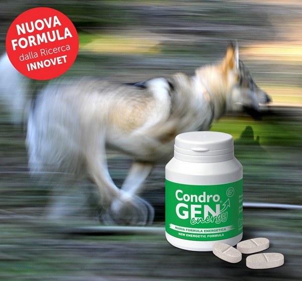 Condrogen Energy per la salute articolare dei cuccioli. In vendita ed offerta