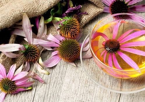 Esi Echinaid ed Esi Immunilflor in vendita utile per aumentare le difese immunitarie 