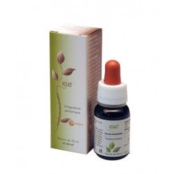 EIE ECHINACEA GOCCE 30 ML - Farmafamily.it