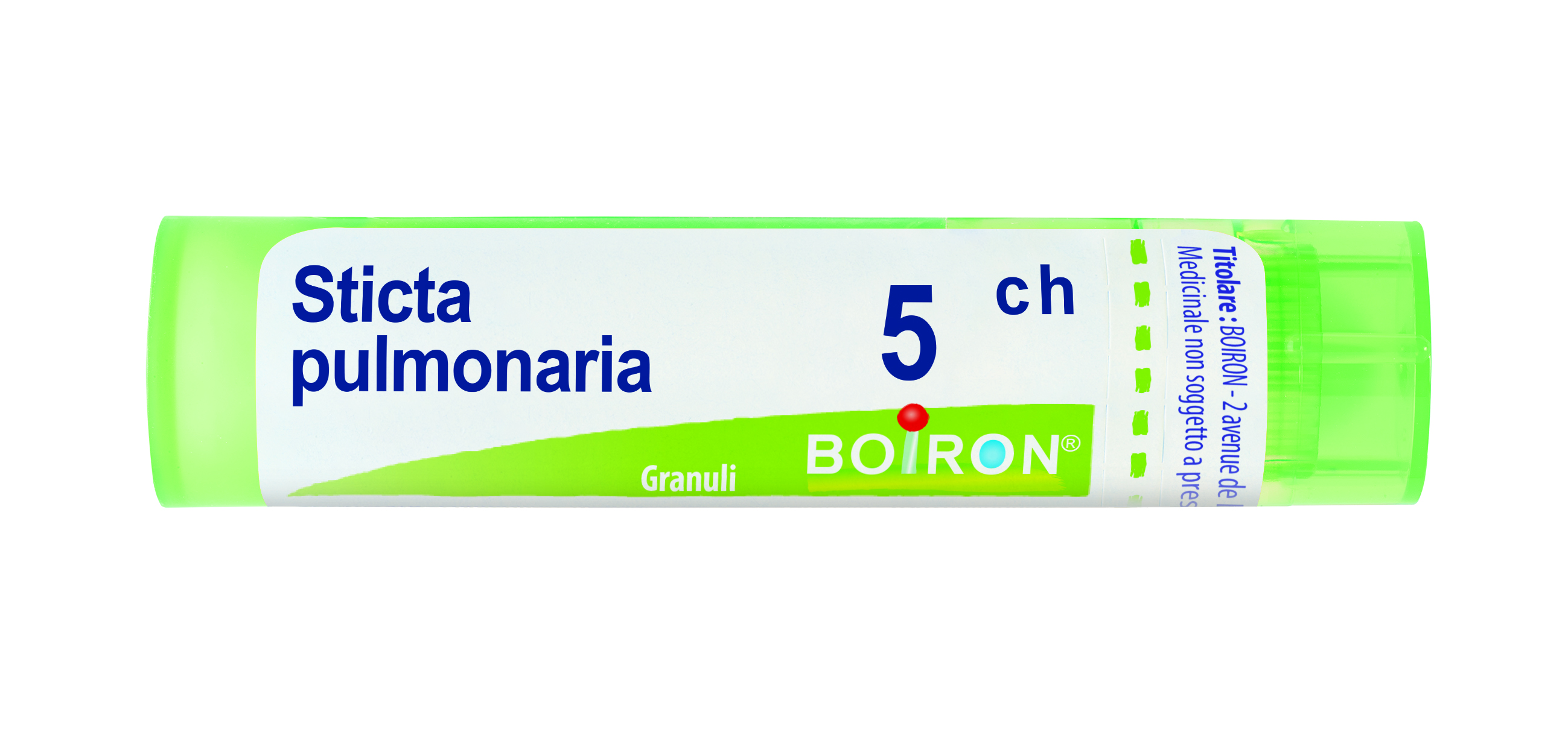 STICTA PULMONARIA*5CH 80GR 4G - Farmafamily.it