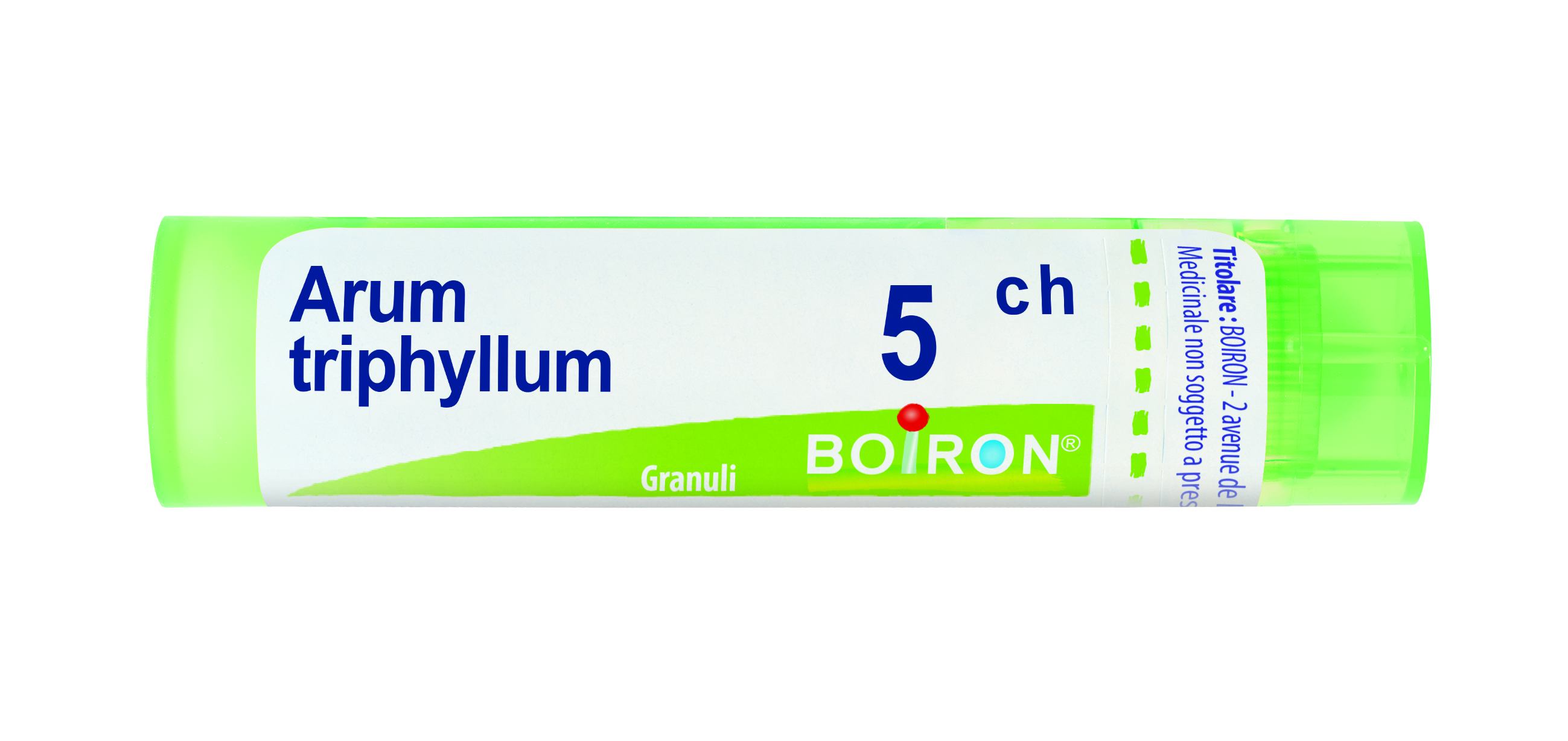 ARUM TRIPHYL BOI*5CH GR 4G - Farmafamily.it