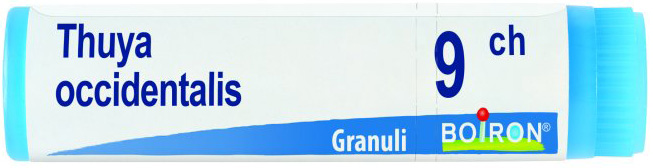 THUYA OCCIDENTALIS 9 CH GLOBULI 1G - Farmafamily.it