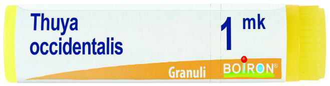 THUYA OCCIDENTALIS MK GLOBULI 1G - Farmafamily.it