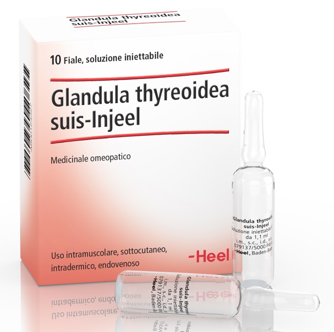 HEEL GLANDULA THYROIDEA SUIS INJEEL 10 FIALE - Farmafamily.it