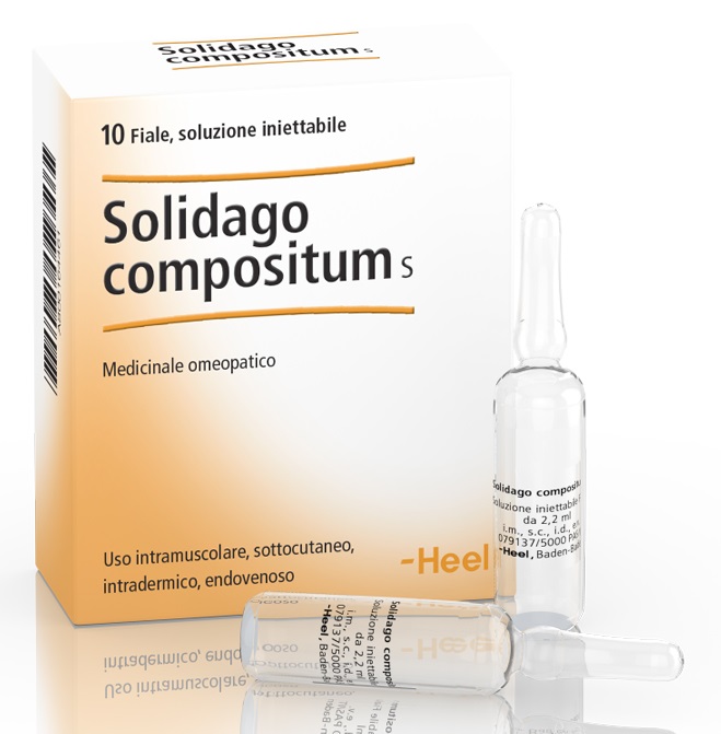 HEEL SOLIDAGO COMPOSITUM 10 FIALE DA 2,2 ML L'UNA - Farmafamily.it