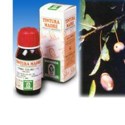 QUERCIA MARI 14 50ML TM - Farmafamily.it
