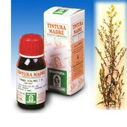 VERGA ORO 26 50ML TM - Farmafamily.it
