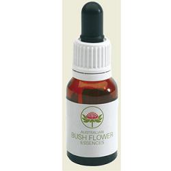 GREY SPIDER FLOWER AUSTRALIAN 15 ML - Farmafamily.it