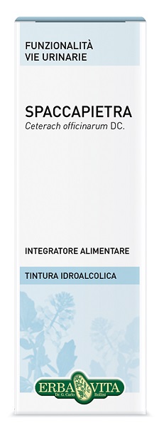 SPACCAPIETRA TINTURA IDROALCOLICA 50 ML EBV - Farmafamily.it