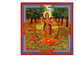 TRIPHAURUM GOCCE 30 ML - Farmafamily.it