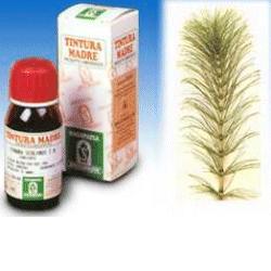 EQUISETO 12 50ML TM - Farmafamily.it