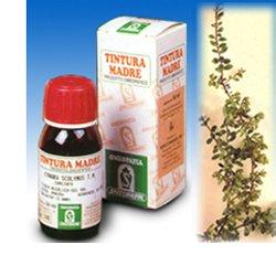 UVA URSINA 30 50ML TM - Farmafamily.it