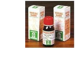 ERISIMO 61 50ML TM - Farmafamily.it
