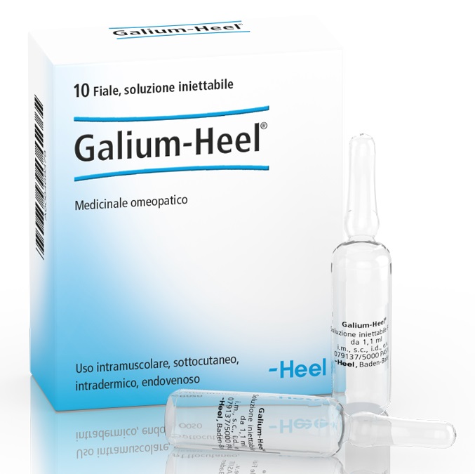 HEEL GALIUM 10 FIALE DA 1,1 ML L'UNA - Farmafamily.it