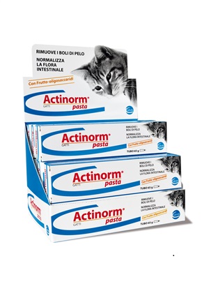 ACTINORM PASTA GATTI 65 G - Farmafamily.it