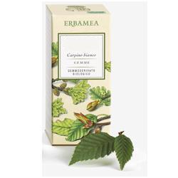 FICUS CARICA GEMME GEMMODERIVATO BIO 50 ML - Farmafamily.it
