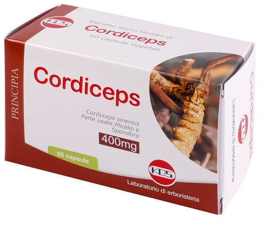 CORDICEPS ESTRATTO SECCO 60 CAPSULE - Farmafamily.it