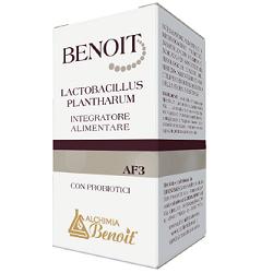 BENOIT LACTOBACILLUS PLANTHARUM 30 CAPSULE - Farmafamily.it