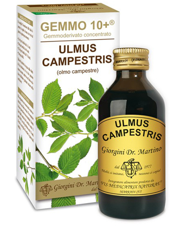 GEMMO 10+ OLMO CAMPESTRE 100 ML LIQUIDO ANALCOLICO - Farmafamily.it