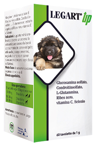 LEGART UP 60 COMPRESSE DA 1 G - Farmafamily.it