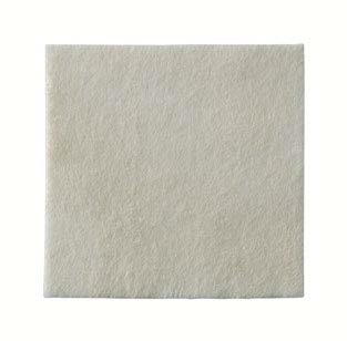 MEDICAZIONE BIATAIN ALGINATE AG ALGINATO CON ARGENTO 10X10CM 10 PEZZI - Farmafamily.it