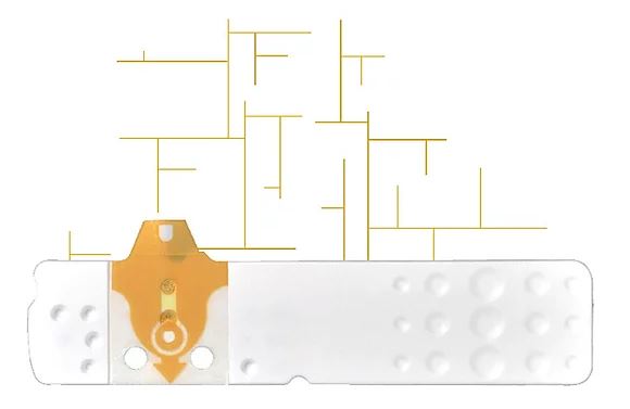 STRISCE MISURAZIONE GLICEMIA LINEA D ORO 25 PEZZI - Farmafamily.it