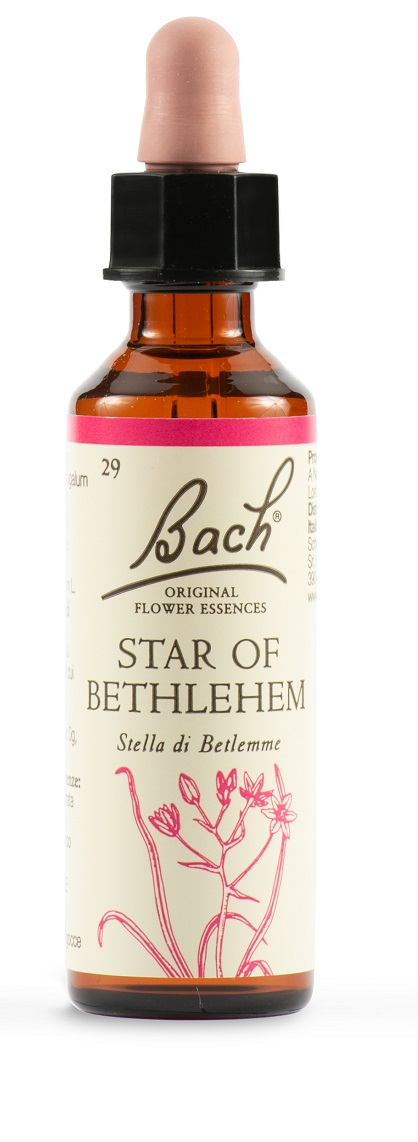STAR OF BETHL ORIG 20 ML - Farmafamily.it