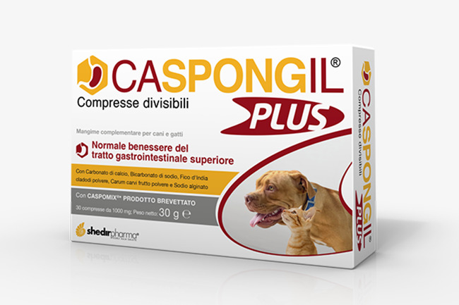 CASPONGIL PLUS 30 COMPRESSE - Farmafamily.it