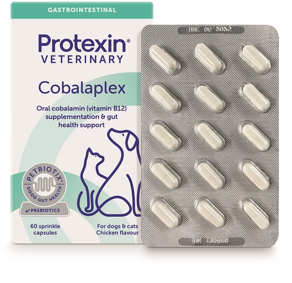 COBALAPLEX 60 CAPSULE - Farmafamily.it