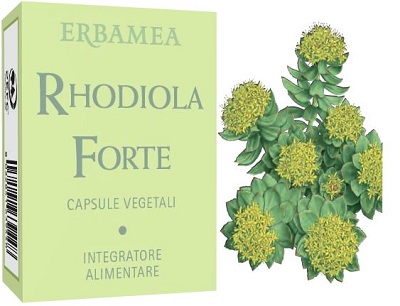 RHODIOLA FORTE 24 CAPSULE - Farmafamily.it