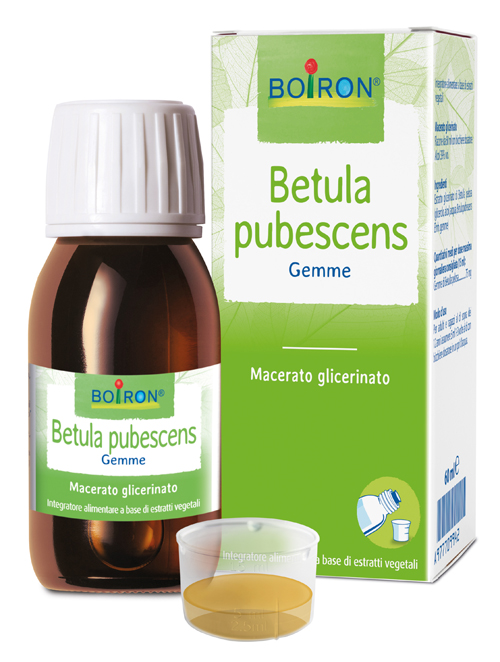 BETULA PUBESCENS MACERATO GLICERICO 60 ML INT - Farmafamily.it