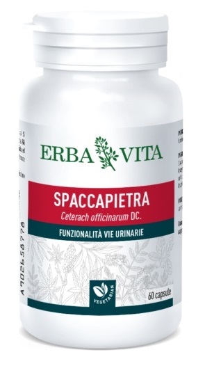 SPACCAPIETRA 60 CAPSULE - Farmafamily.it