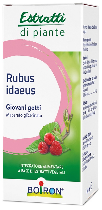 RUBUS IDAEUS GIOVANI GETTI ESTRATTO IDROALCOLICO 60 ML - Farmafamily.it