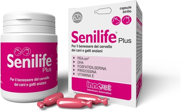 SENILIFE PLUS 30 CAPSULE - Farmafamily.it