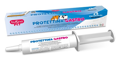 PROTETTINA GASTRO PASTA IN SIRINGA 30 G - Farmafamily.it
