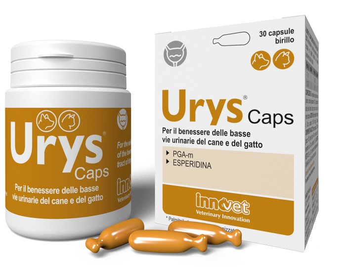 URYS CAPS 30 CAPSULE - Farmafamily.it