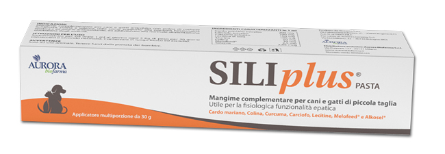 SILIPLUS PASTA 30 G - Farmafamily.it