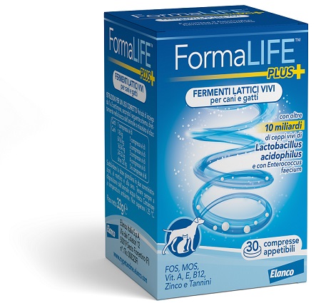 FORMALIFE PLUS FERMENTI LATTICI VIVI 30 COMPRESSE APPETIBILI - Farmafamily.it