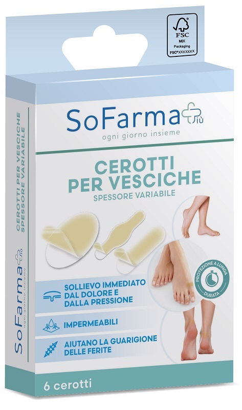 CEROTTO VESCICA ASSORTITI SOFARMAPIU' 6 PEZZI - Farmafamily.it