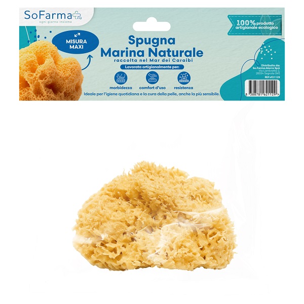 SPUGNA MARINA NATURALE MAXI SOFARMAPIU' - Farmafamily.it
